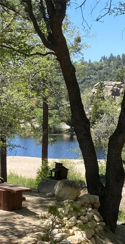 a view of a yard with plants