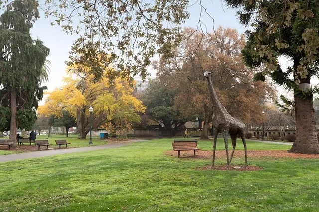 a view of a park with slide