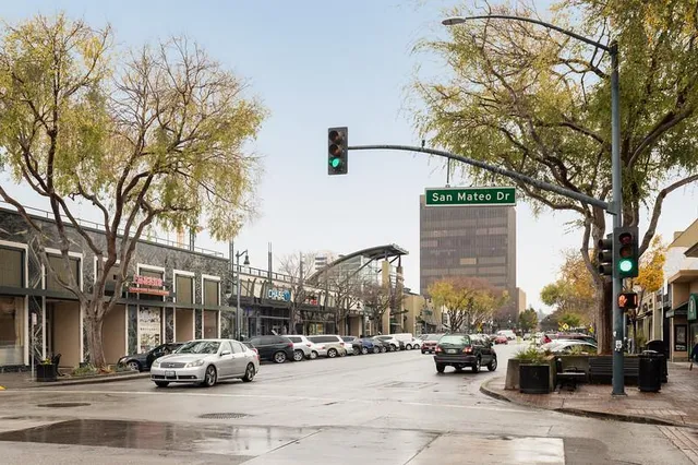 a view of a park with large trees