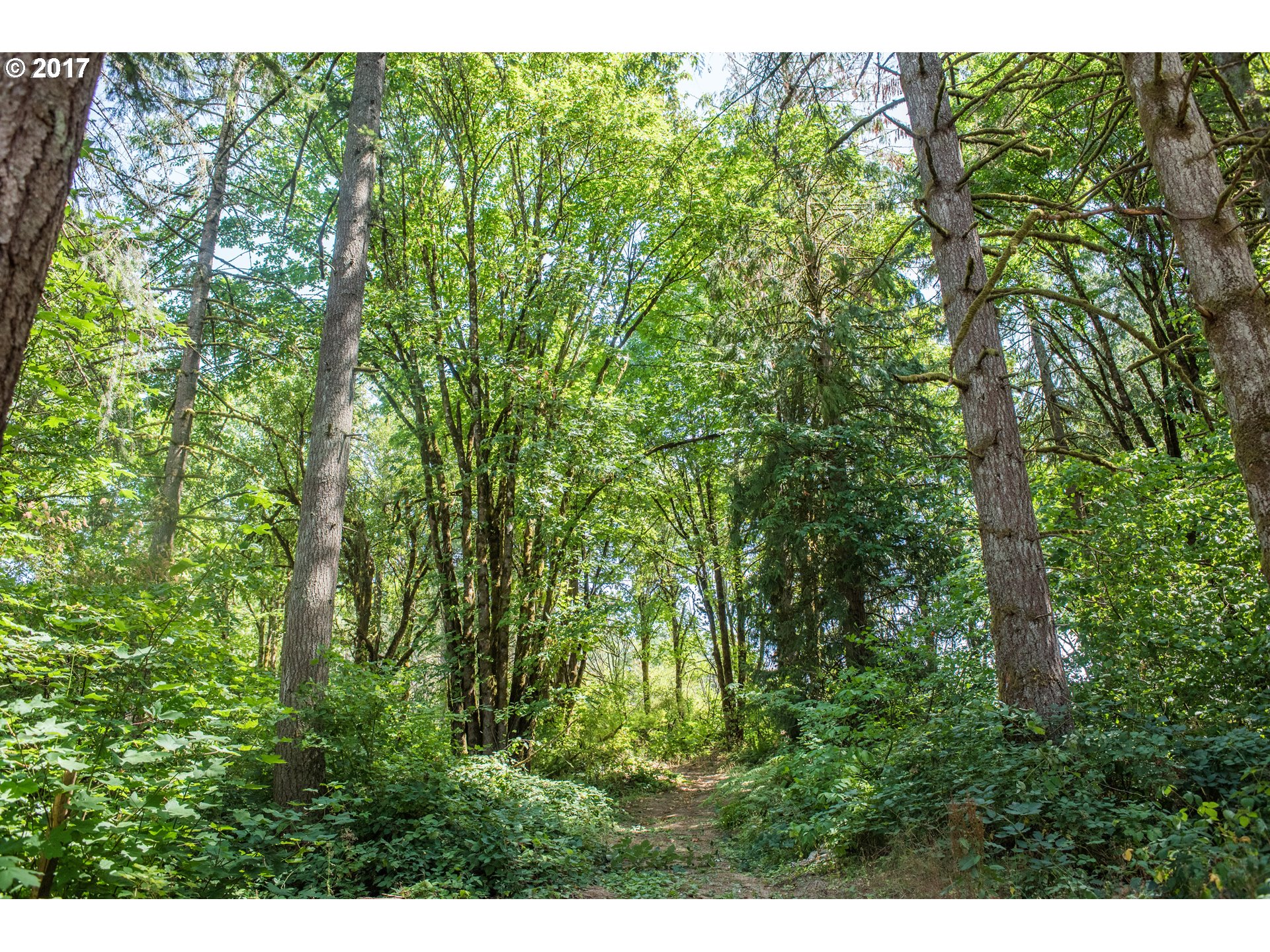 61138 Perry Creek Road St. Helens, OR 97051 - Photo 9 of 17 Gallery Image 9