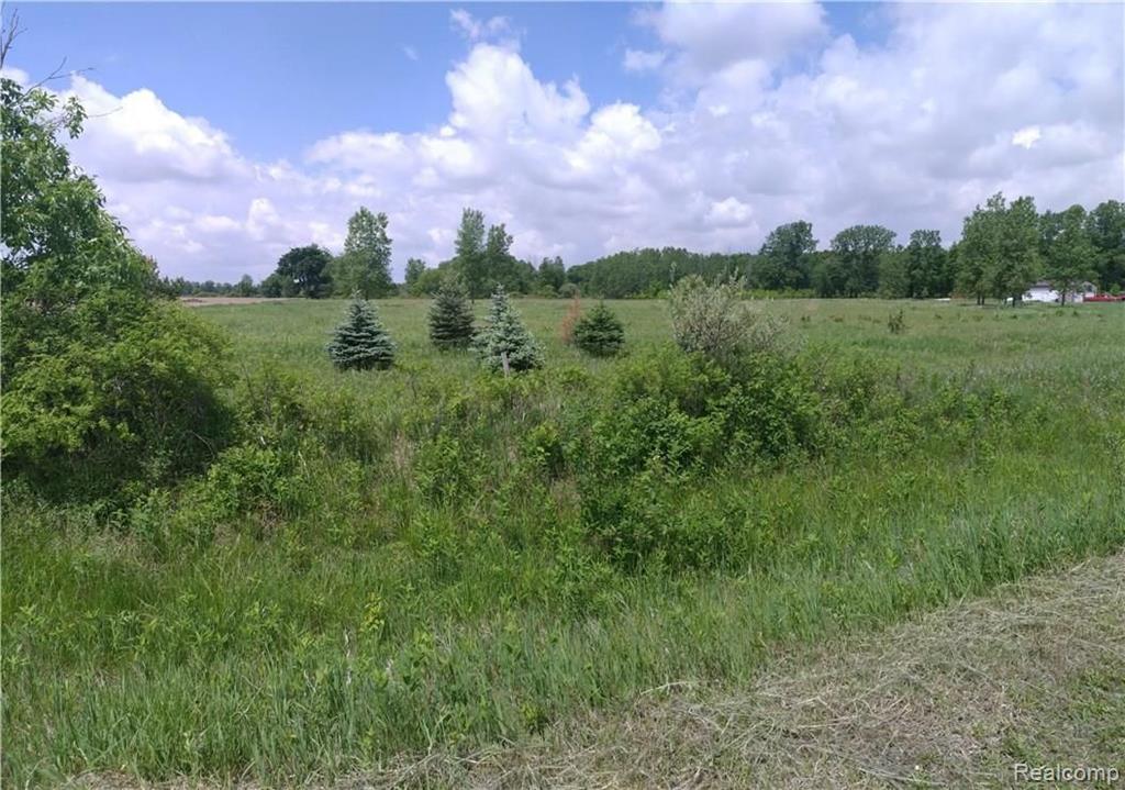 10 A Mason Road Yale, MI 48097 - Photo 5 of 8