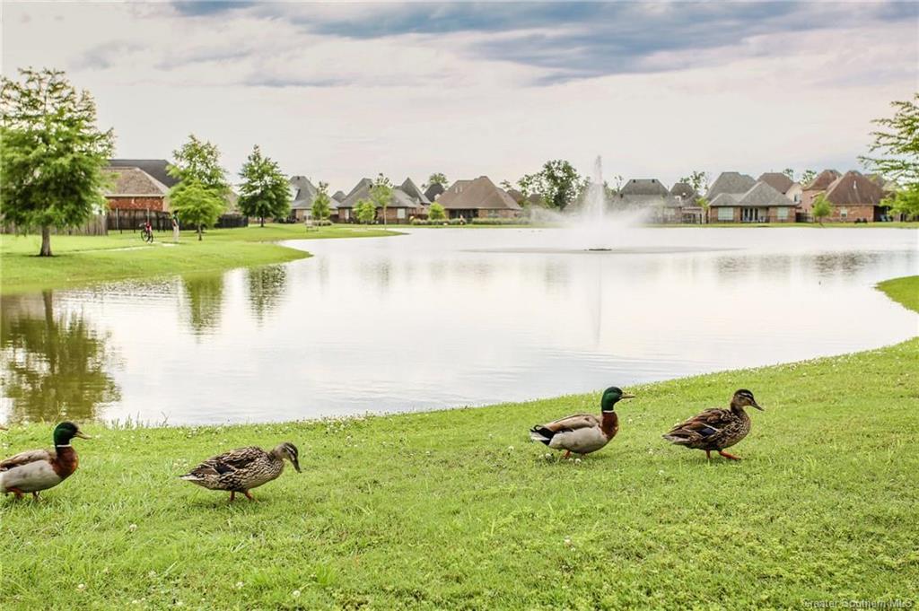 3250 Lake Crest Drive Lake Charles, LA 70607 - Photo 38 of 39