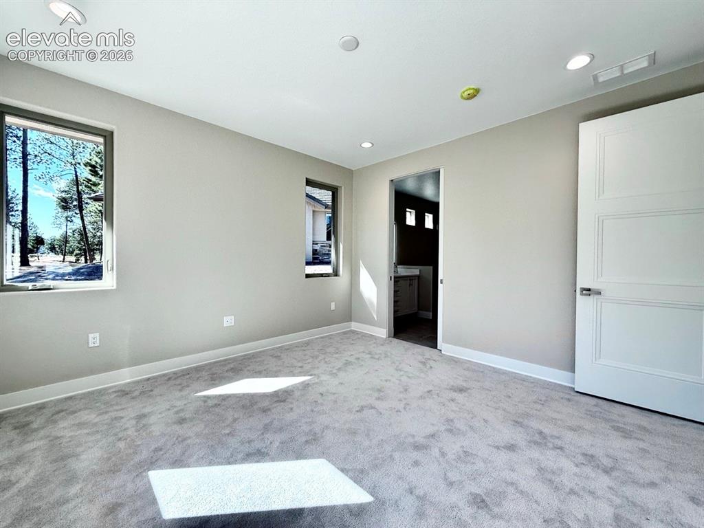 3135 Promise Point Colorado Springs, CO 80921 - Photo 28 of 29