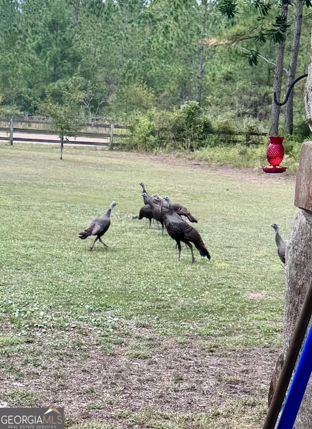 475 Mattox Road Folkston, GA 31537 - Photo 48 of 48