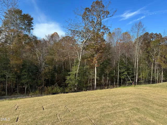 a view of outdoor space and yard
