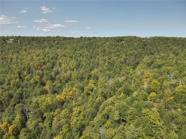 $79,900 | 0 Alma Hill Road, Alma, NY 14708