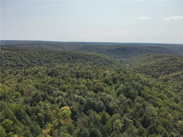 $79,900 | 0 Alma Hill Road, Alma, NY 14708