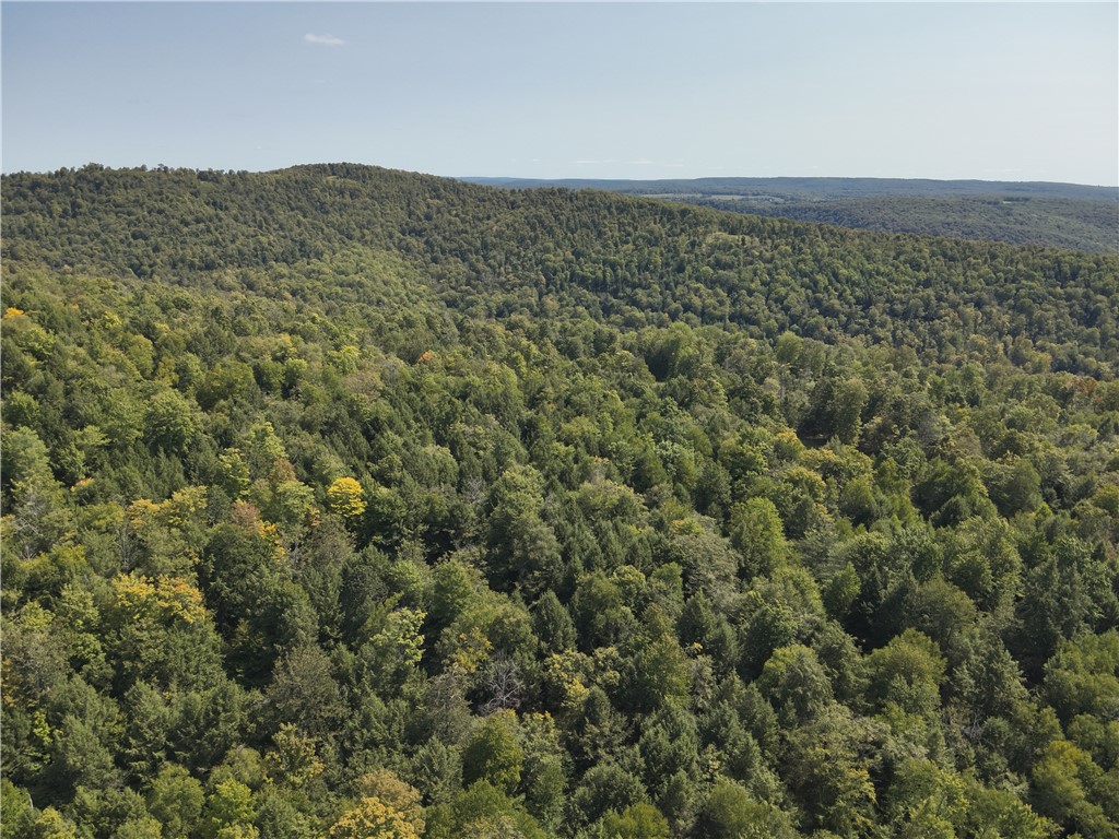 0 Alma Hill Road Alma, NY 14708 - Photo 13 of 17