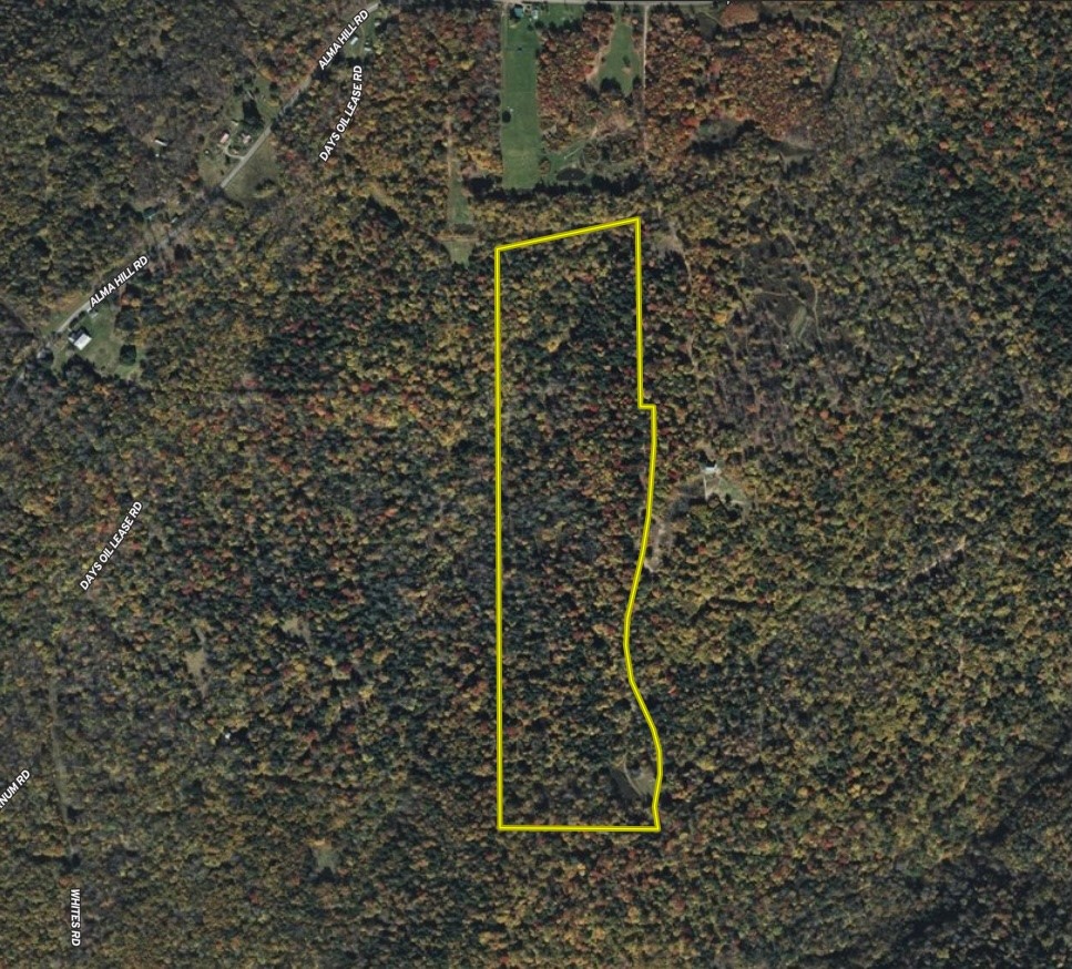 0 Alma Hill Road Alma, NY 14708 - Photo 14 of 17