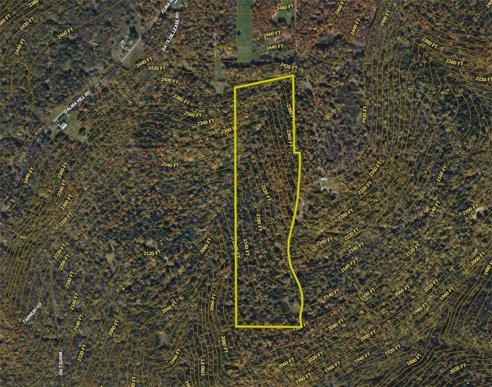 0 Alma Hill Road Alma, NY 14708 - Photo 16 of 17