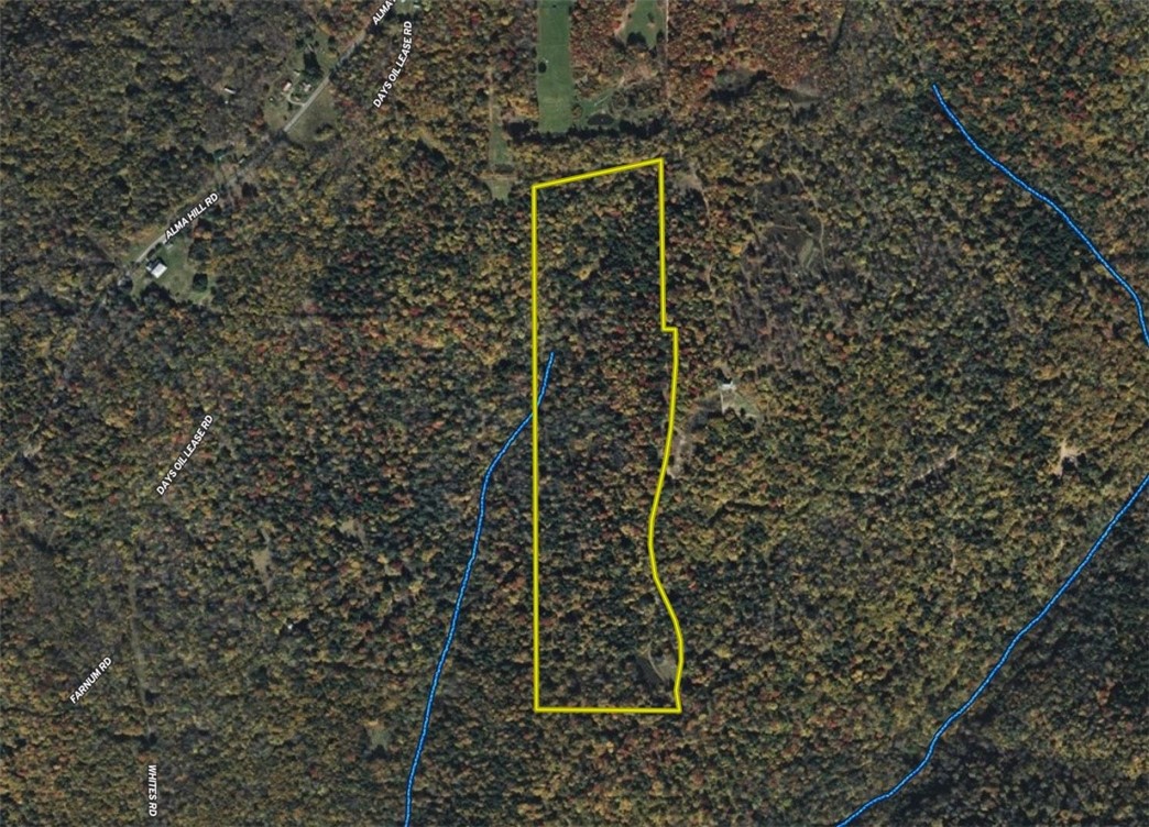 0 Alma Hill Road Alma, NY 14708 - Photo 17 of 17