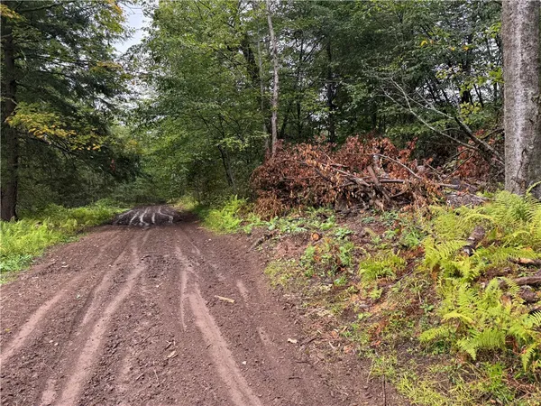 $79,900 | 0 Alma Hill Road, Alma, NY 14708