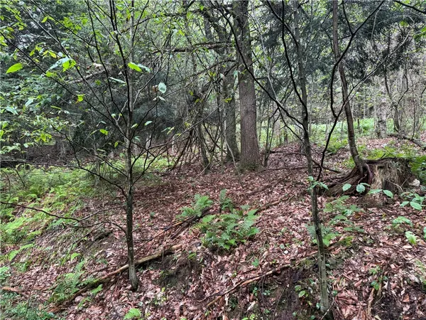 $79,900 | 0 Alma Hill Road, Alma, NY 14708