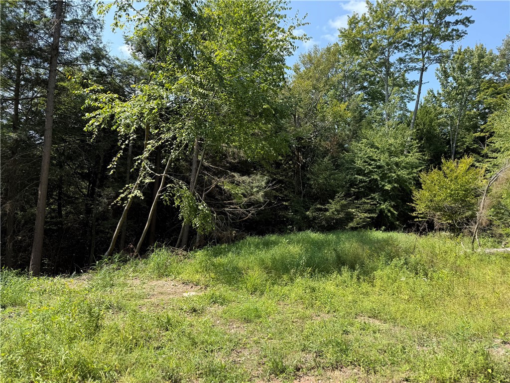 0 Alma Hill Road Alma, NY 14708 - Photo 6 of 17