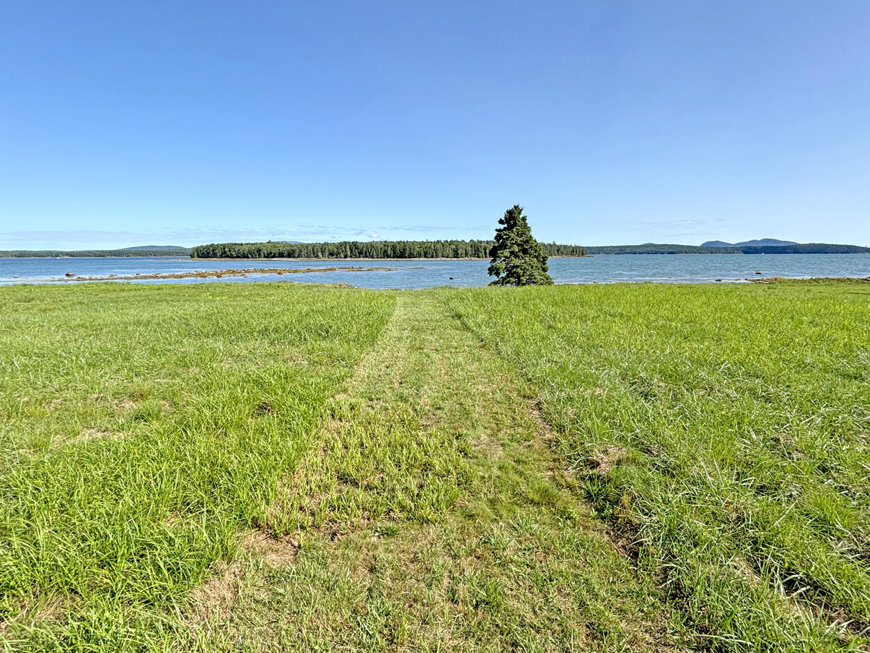 607 Oak Point Road Trenton, ME 04605 - Photo 162 of 187 Field (3)