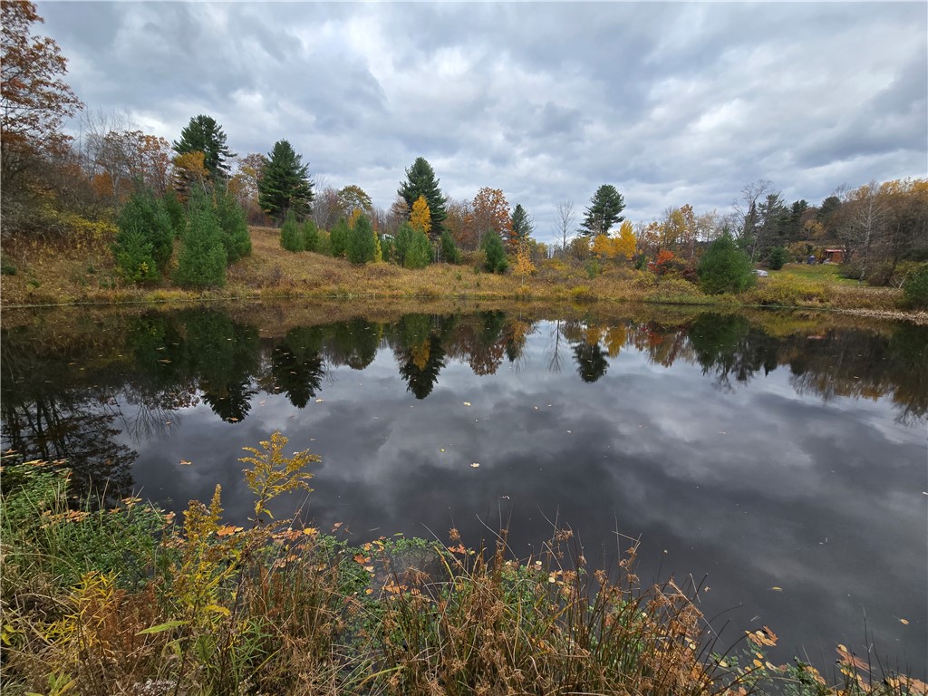 Hardknocks Road Unadilla, NY 13849 - Photo 8 of 16