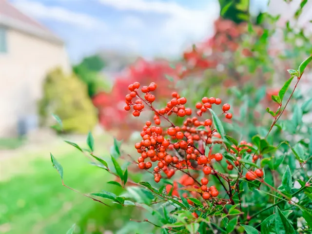 a view of staircase with railing and white walls