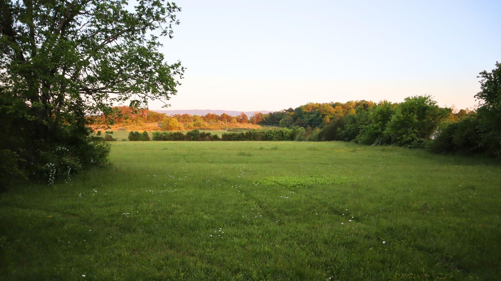 0 Thomas Road Benton, TN 37307 - Photo 7 of 16