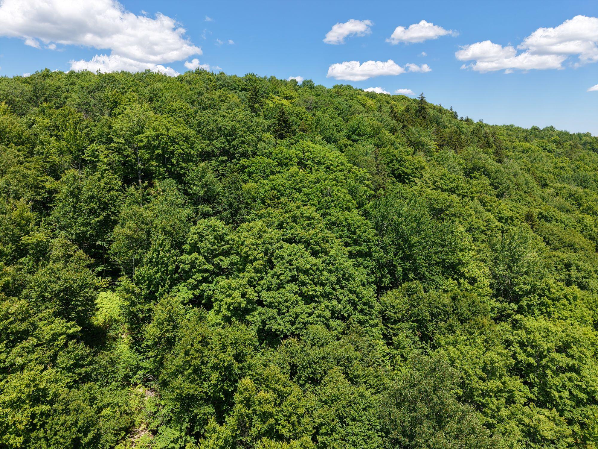 Mso3-l16 Flow Road New Portland, ME 04961 - Photo 24 of 30 DJI_20260712131445_0018_D