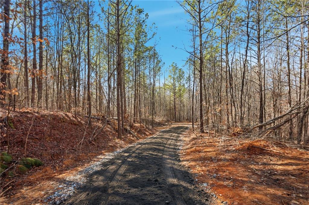6.731 Acres On Pete Path Dallas, GA 30157 - Photo 3 of 17