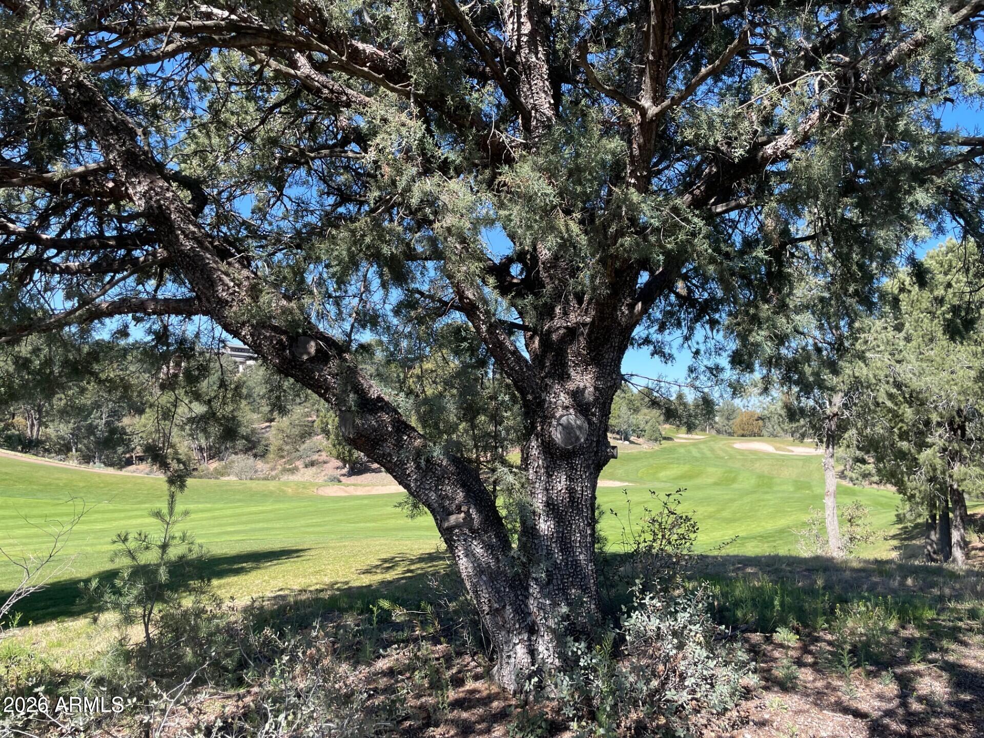210 South Rim Club Drive, Unit 36 Payson, AZ 85541 - Photo 6 of 23 90