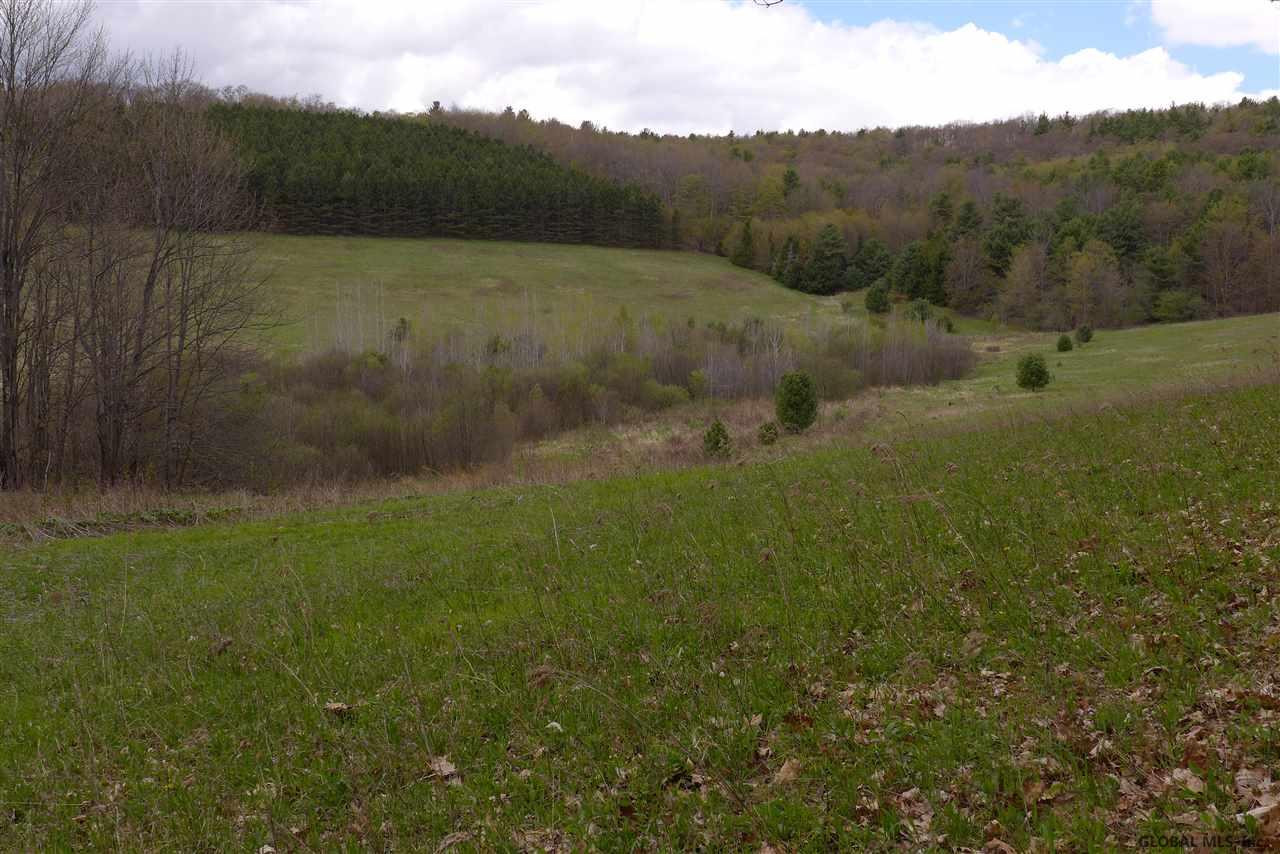 Knapp Road Schenevus, NY 12155 - Photo 1 of 9 Photo 1