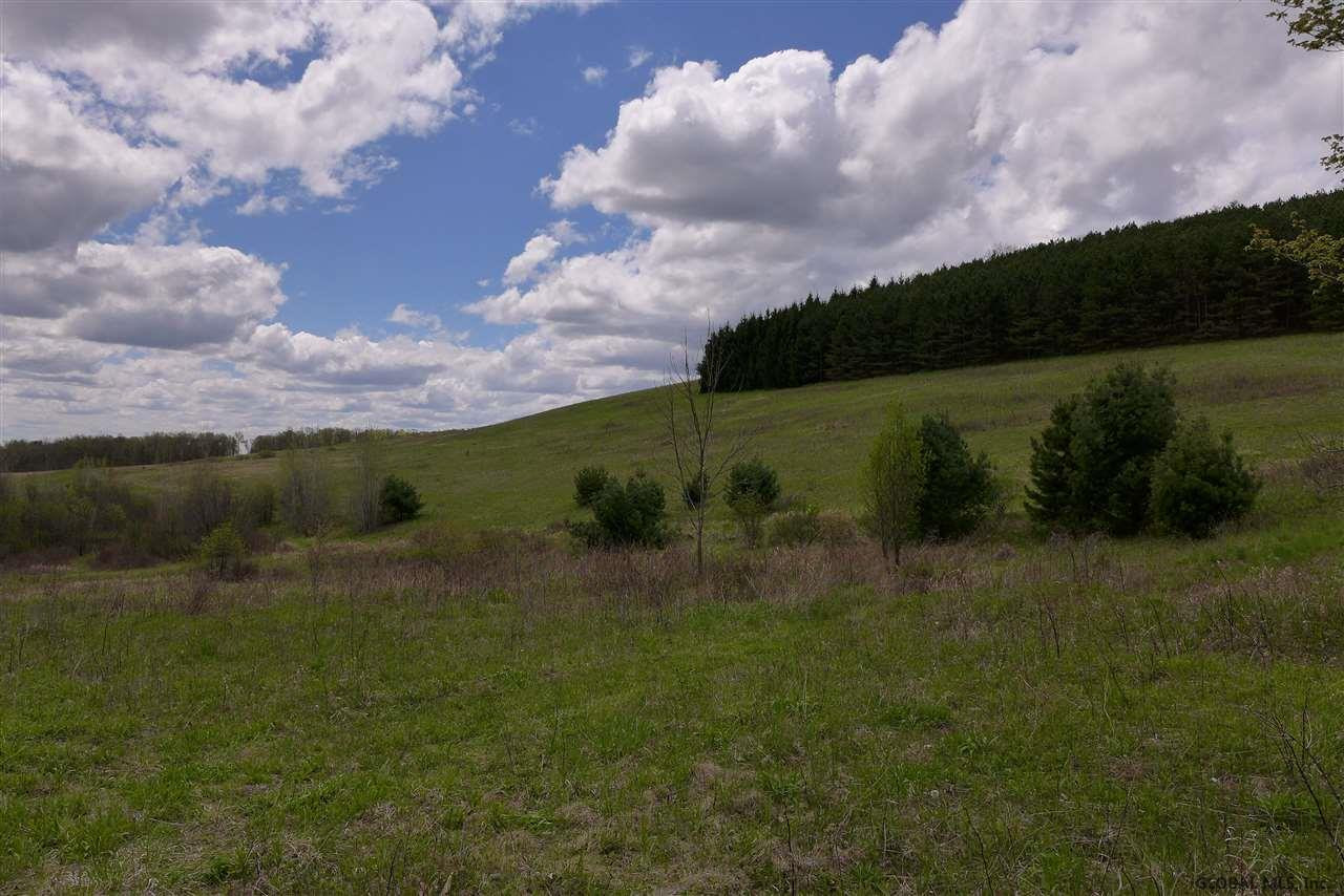 Knapp Road Schenevus, NY 12155 - Photo 3 of 9 Photo 3