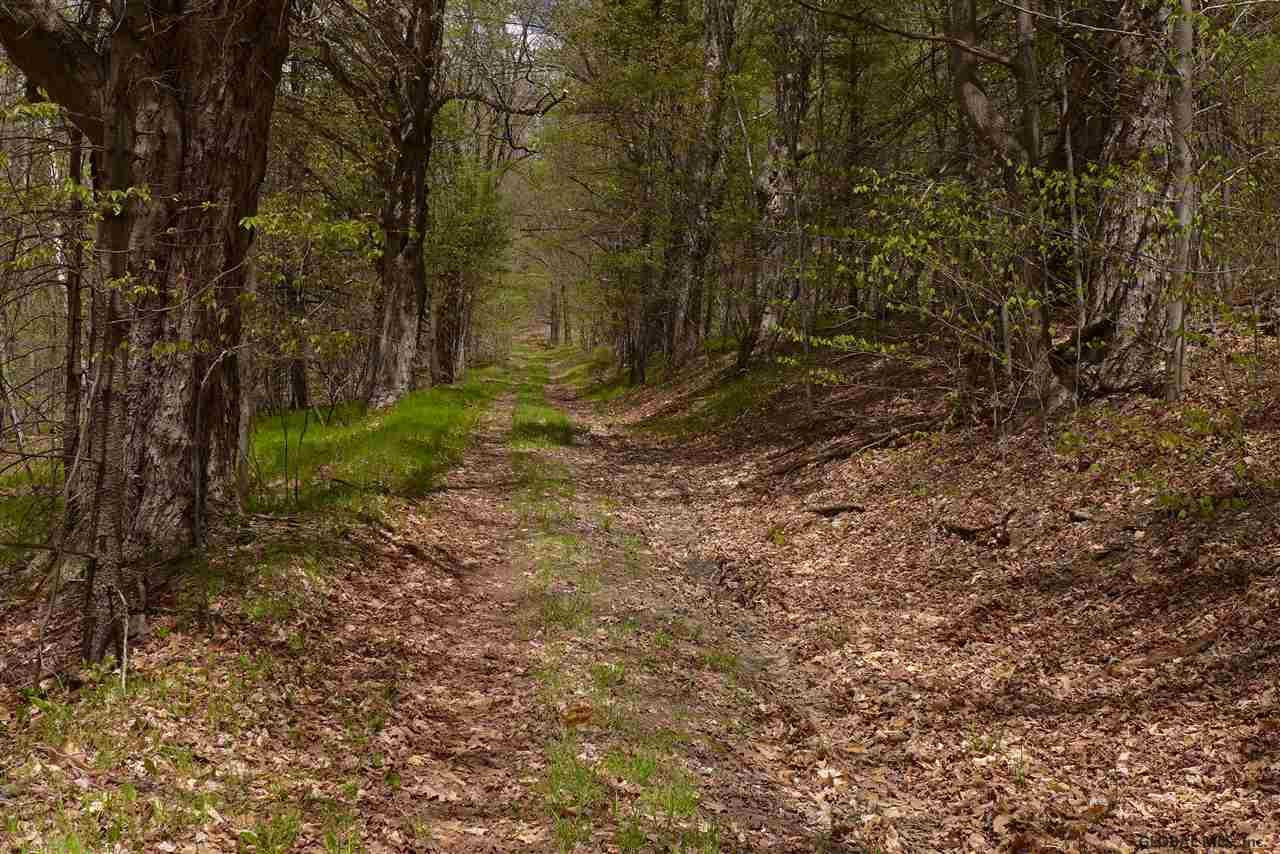 Knapp Road Schenevus, NY 12155 - Photo 7 of 9 Photo 7