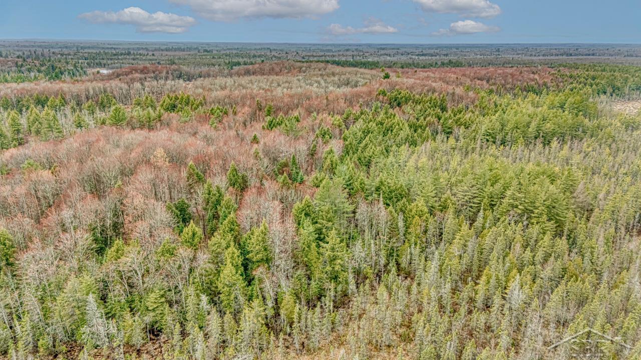 N948 Old Plank Road Wetmore, MI 49895 - Photo 8 of 26