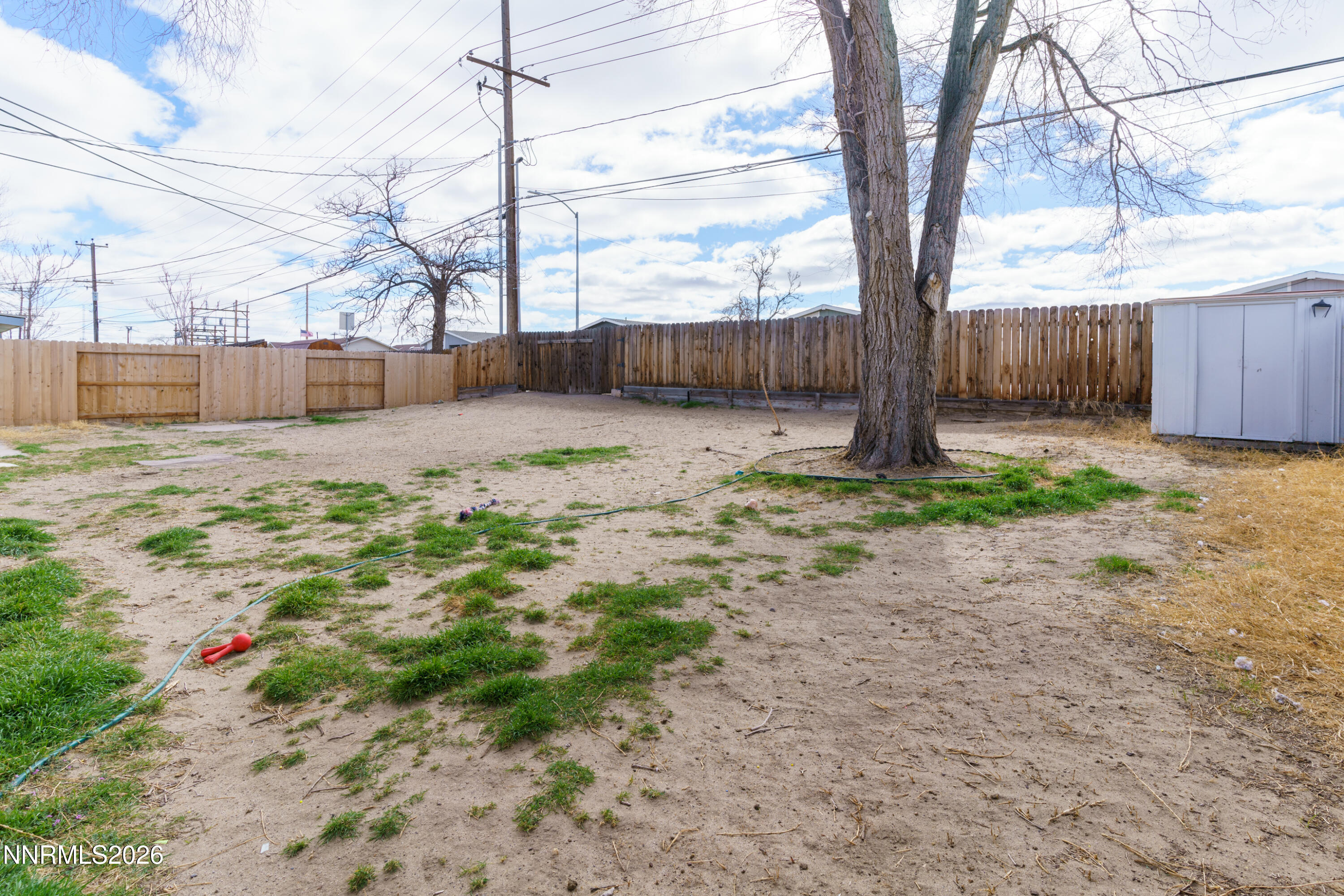 595 Cora Way Fallon, NV 89406 - Photo 19 of 23 a backyard of a house with lots of green space