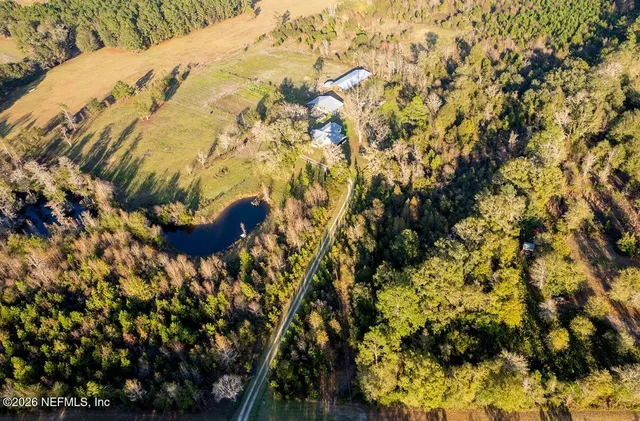 a backyard of a house with a tree