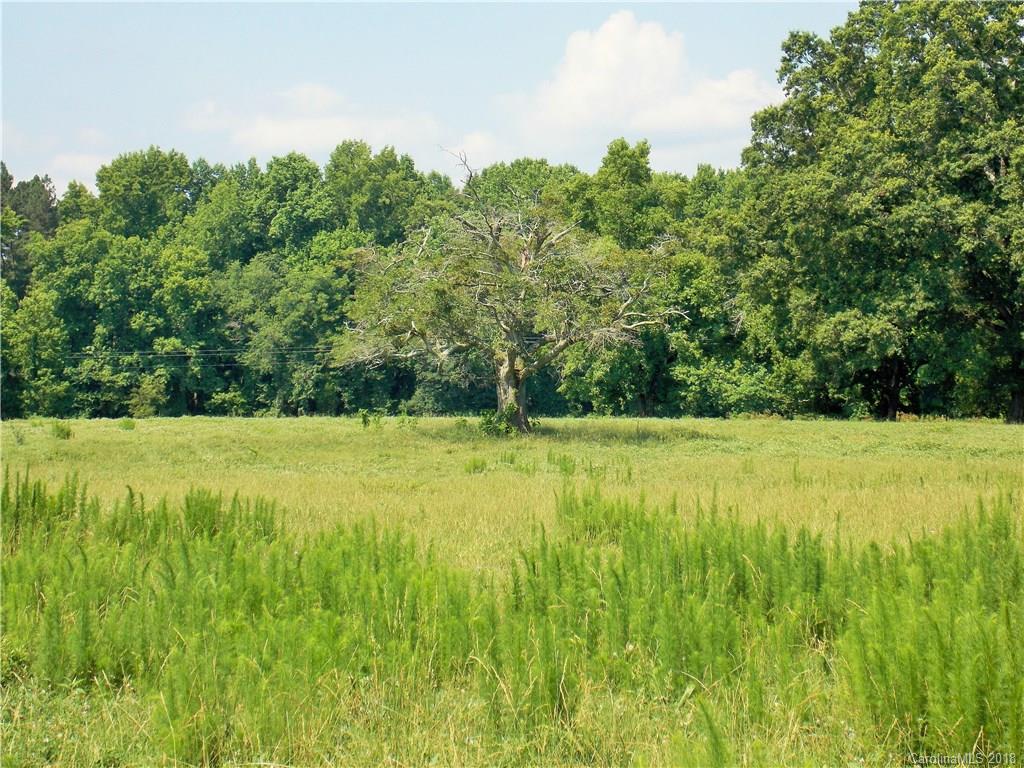 3242 South Potter Road Heath Springs, SC 29058 - Photo 30 of 33 a view of yard with grass and trees