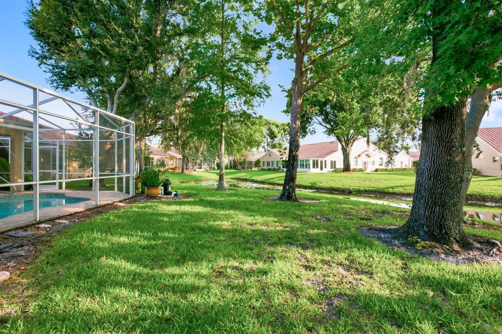 3857 Timber Ridge Court Palm Harbor, FL 34685 - Photo 40 of 56