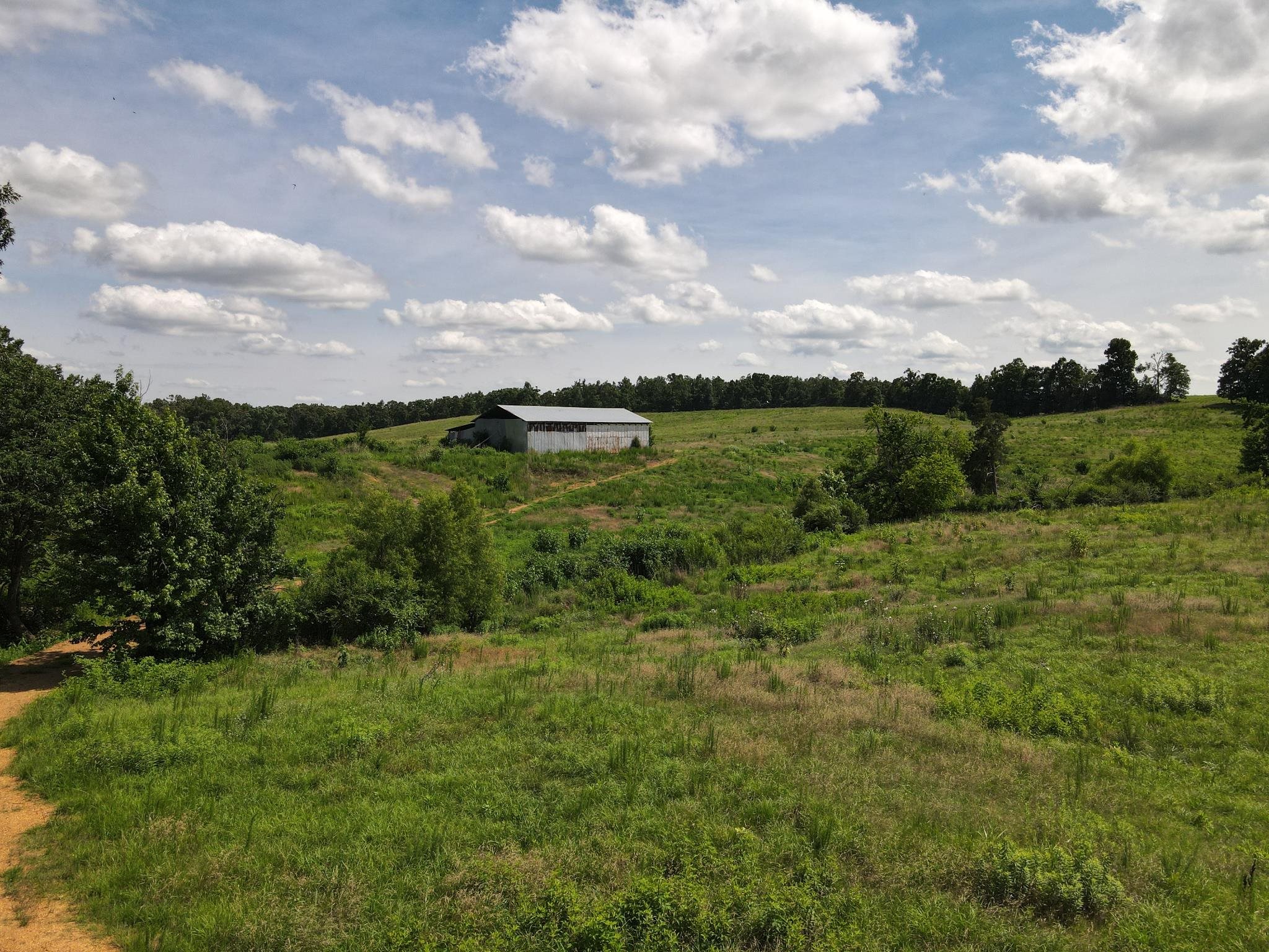 3 Saltillo Road Morris Chapel, TN 38361 - Photo 37 of 40