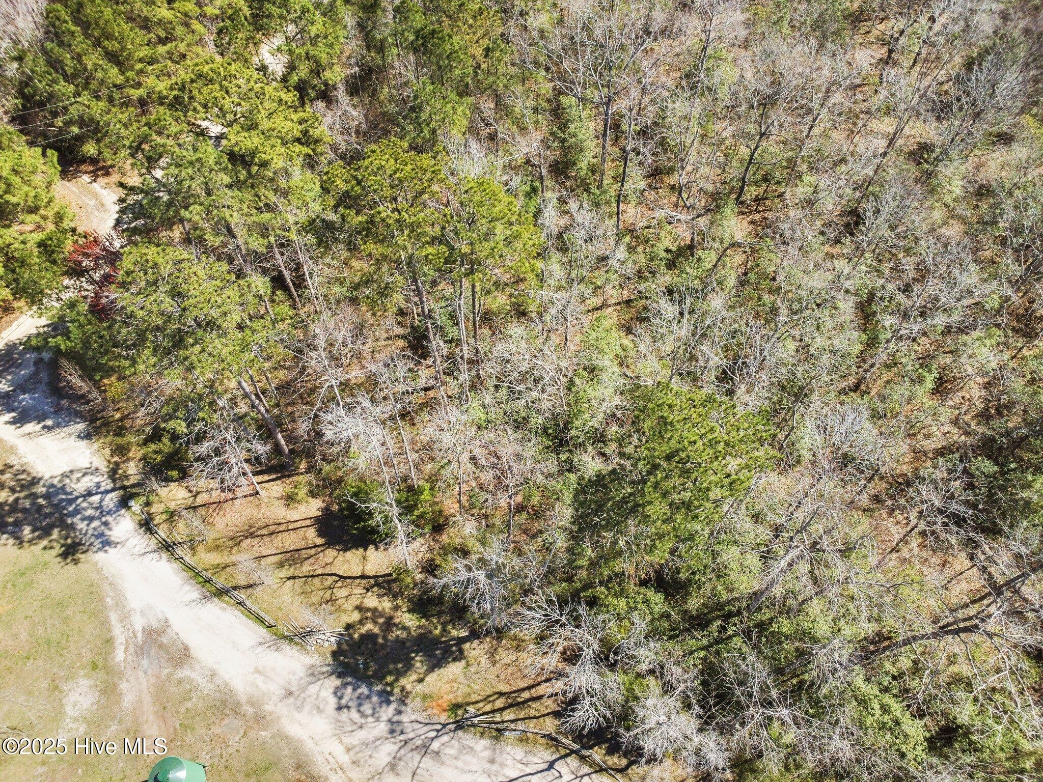 310 Clearview Drive Holly Ridge, NC 28445 - Photo 8 of 23 5-web-or-mls-05