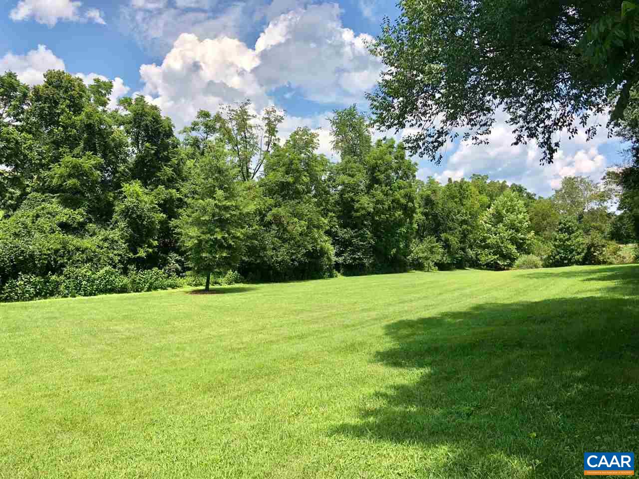 3520 Rocks Mill Lane Charlottesville, VA 22903 - Photo 44 of 50 a view of a field with a tree