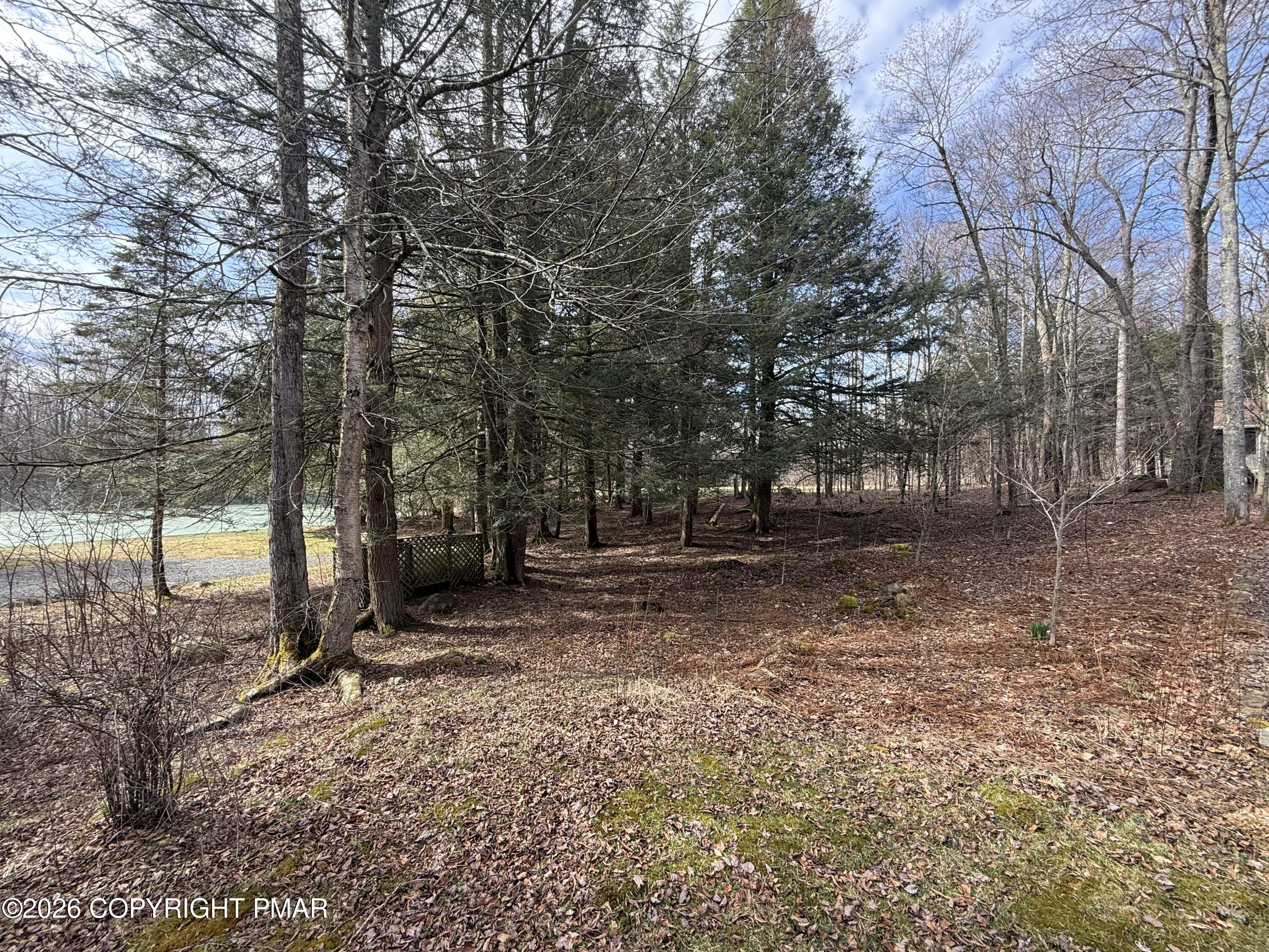 98 Bender Road Gouldsboro, PA 18424 - Photo 10 of 27 98BenderWoods1