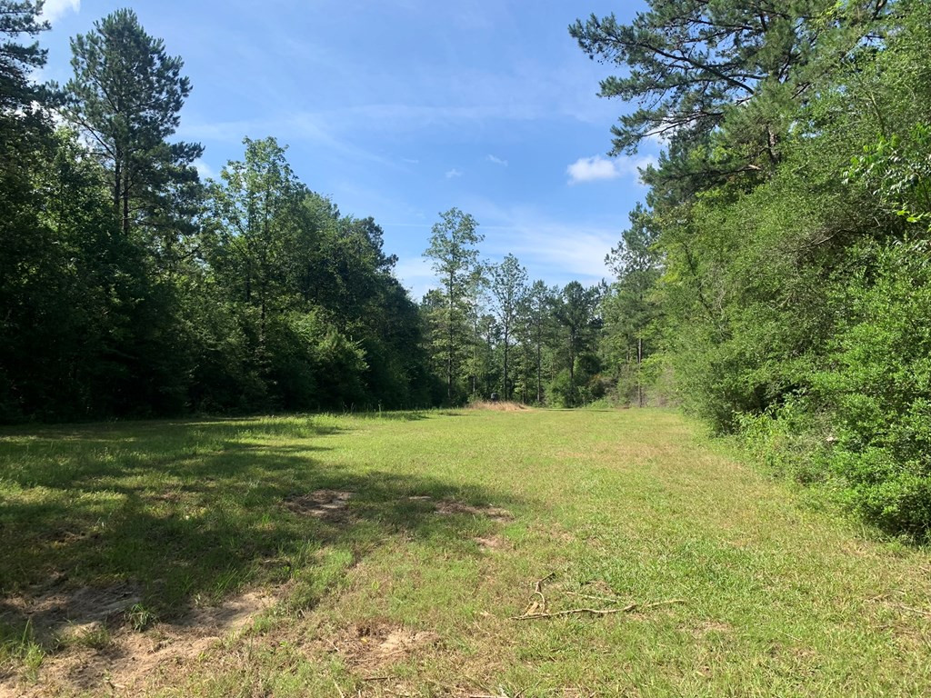 985 Harold Alford Road Osyka, MS 39657 - Photo 39 of 50 Photo 39