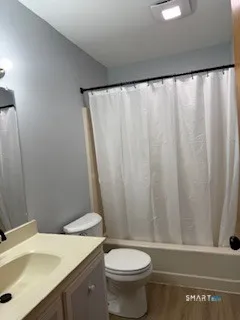 a bathroom with a sink and a toilet