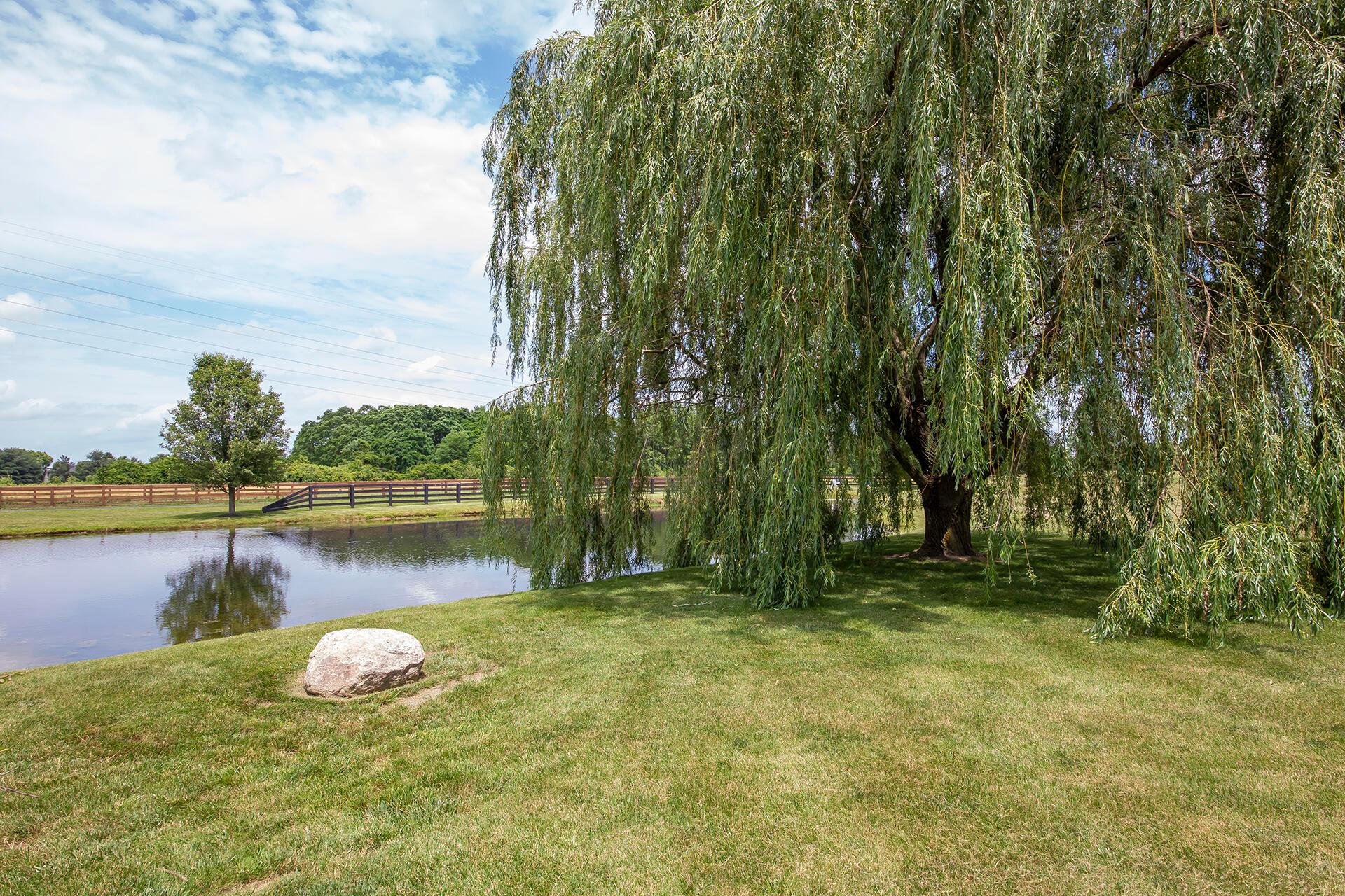 1176 Dale Ford Road Delaware, OH 43015 - Photo 60 of 77 60 Pond