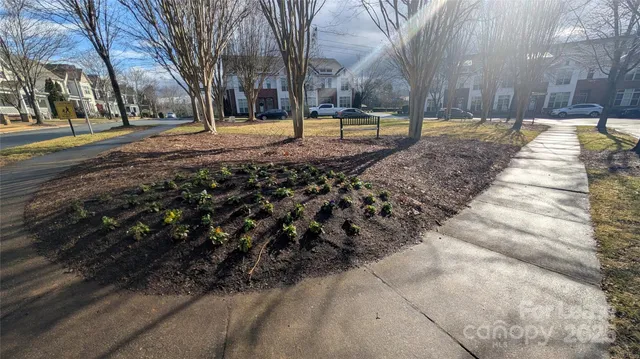 a backyard of apartments with large trees