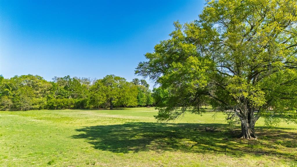 Tbd McKenzie Road Campbell, TX 75422 - Photo 28 of 32 a view of a garden with a tree