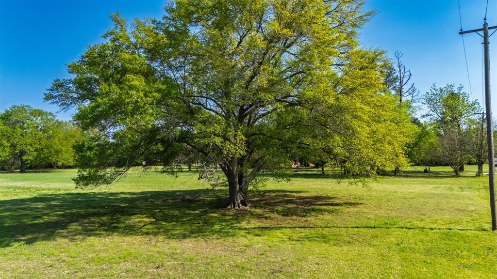 Tbd McKenzie Road Campbell, TX 75422 - Photo 29 of 32 a view of a golf course
