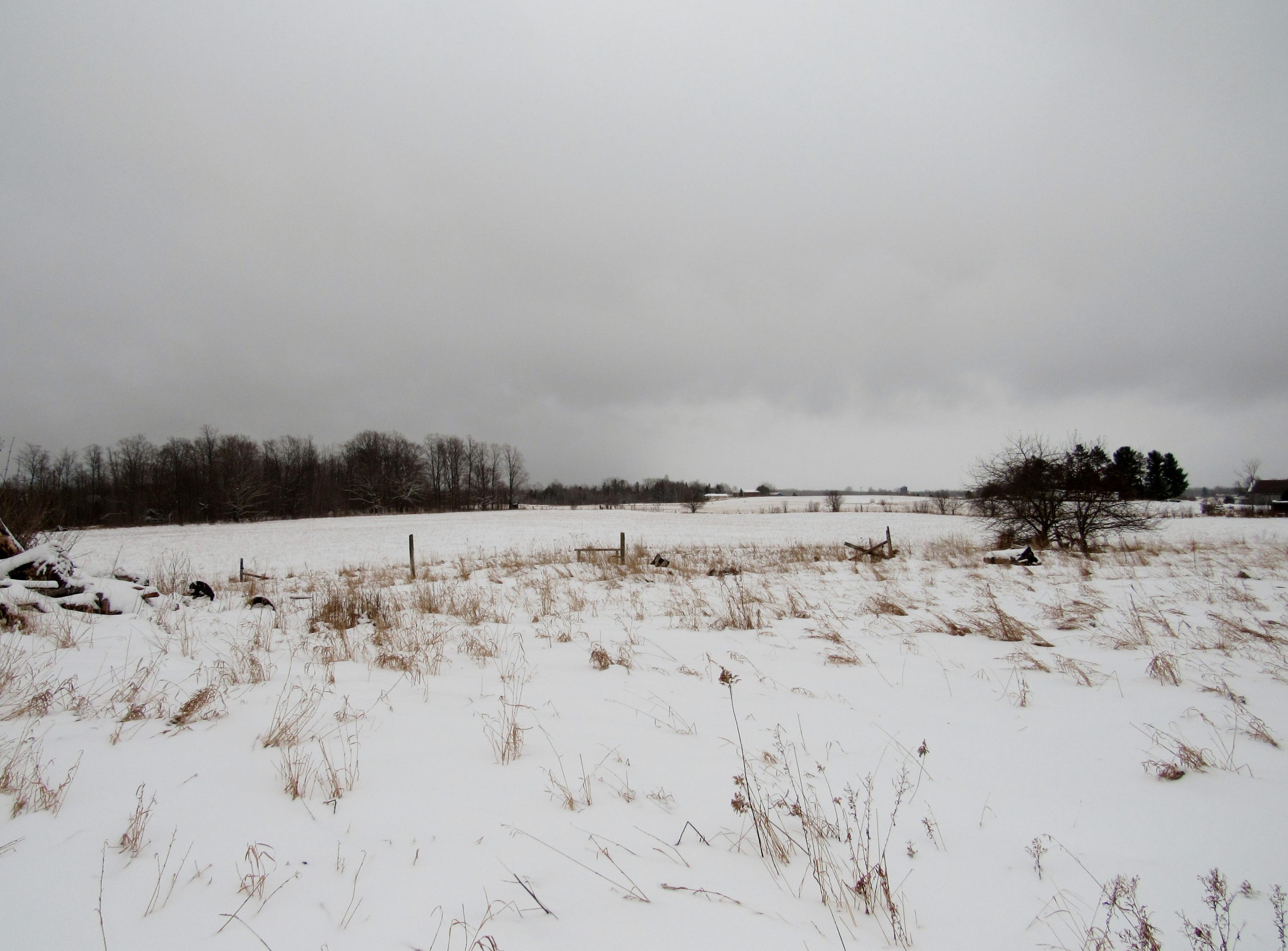 5326 Owens Road Cheboygan, MI 49721 - Photo 8 of 12 Gallery Image 8
