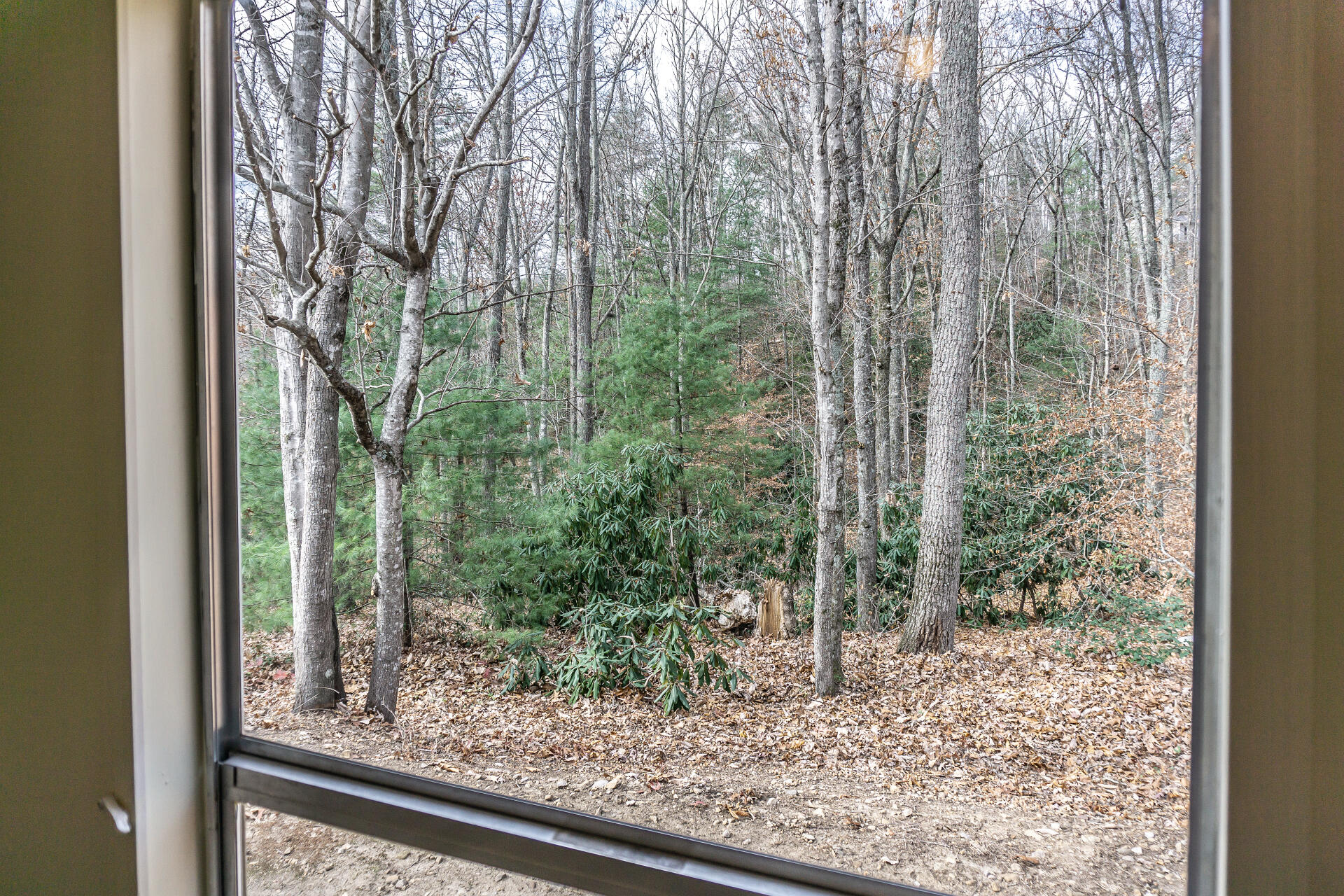 2245 Middle Creek Road Afton, TN 37616 - Photo 32 of 48 2245MiddleCkA__030