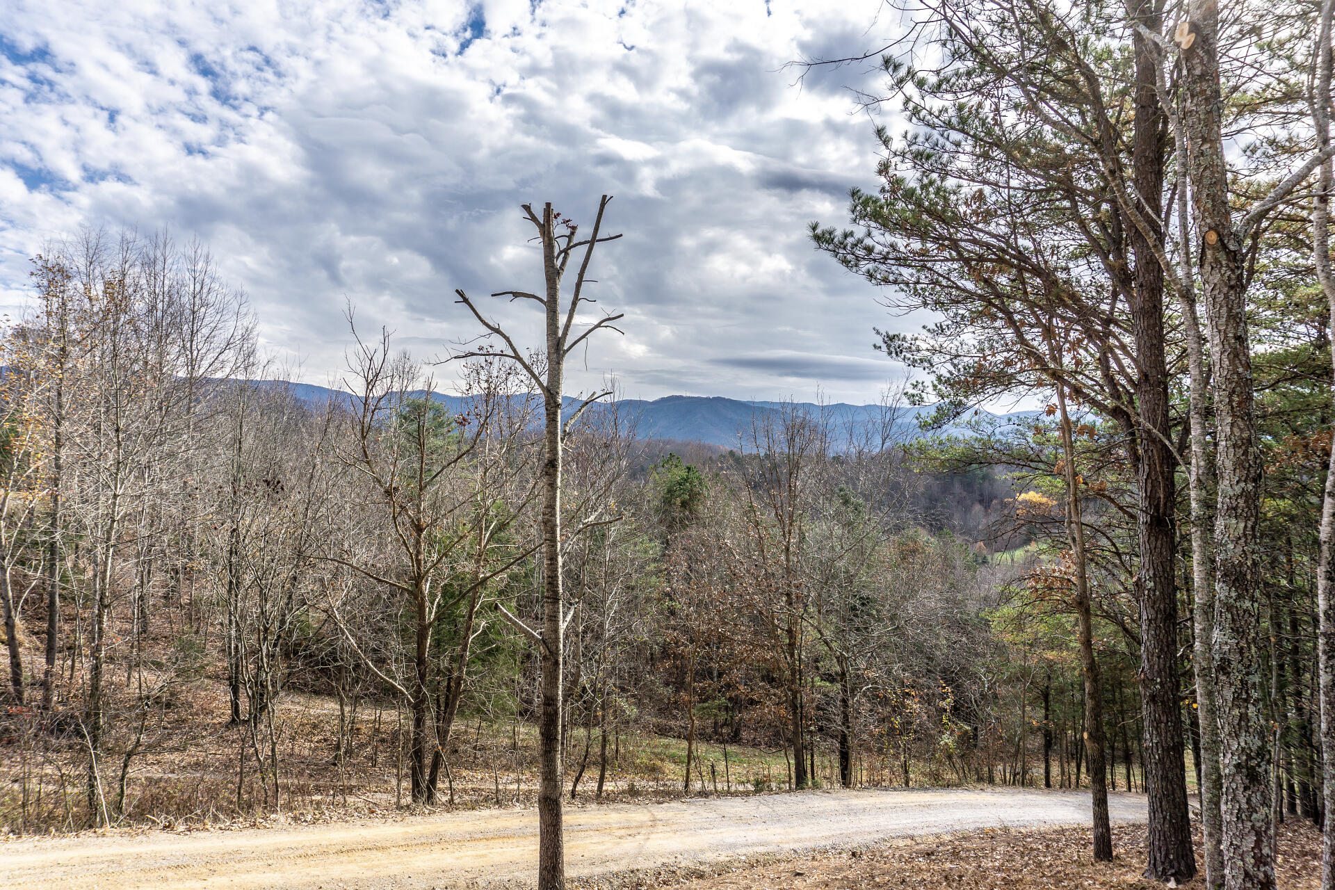 2245 Middle Creek Road Afton, TN 37616 - Photo 6 of 48 2245MiddleCkA__008