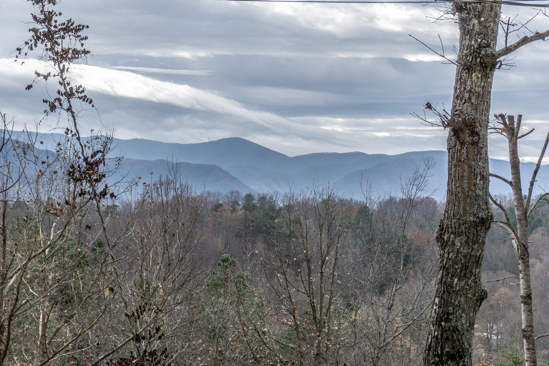 2245 Middle Creek Road Afton, TN 37616 - Photo 8 of 48 2245MiddleCkA__033