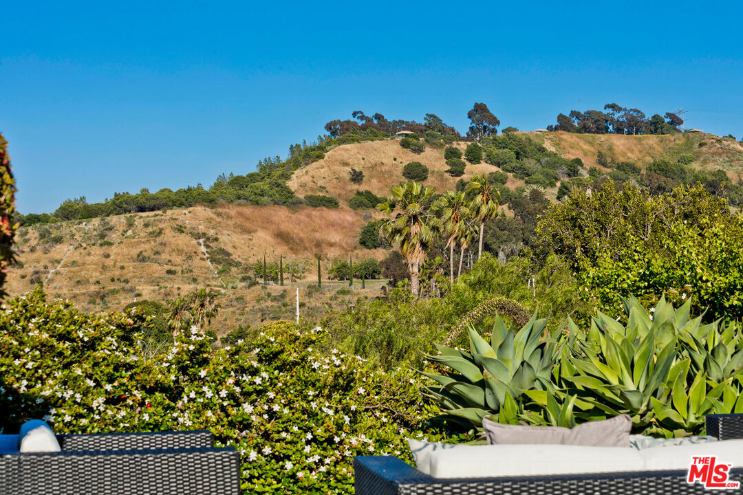 5961 Wrightcrest Drive Culver City, CA 90232 - Photo 37 of 41 a view of a yard with a plant