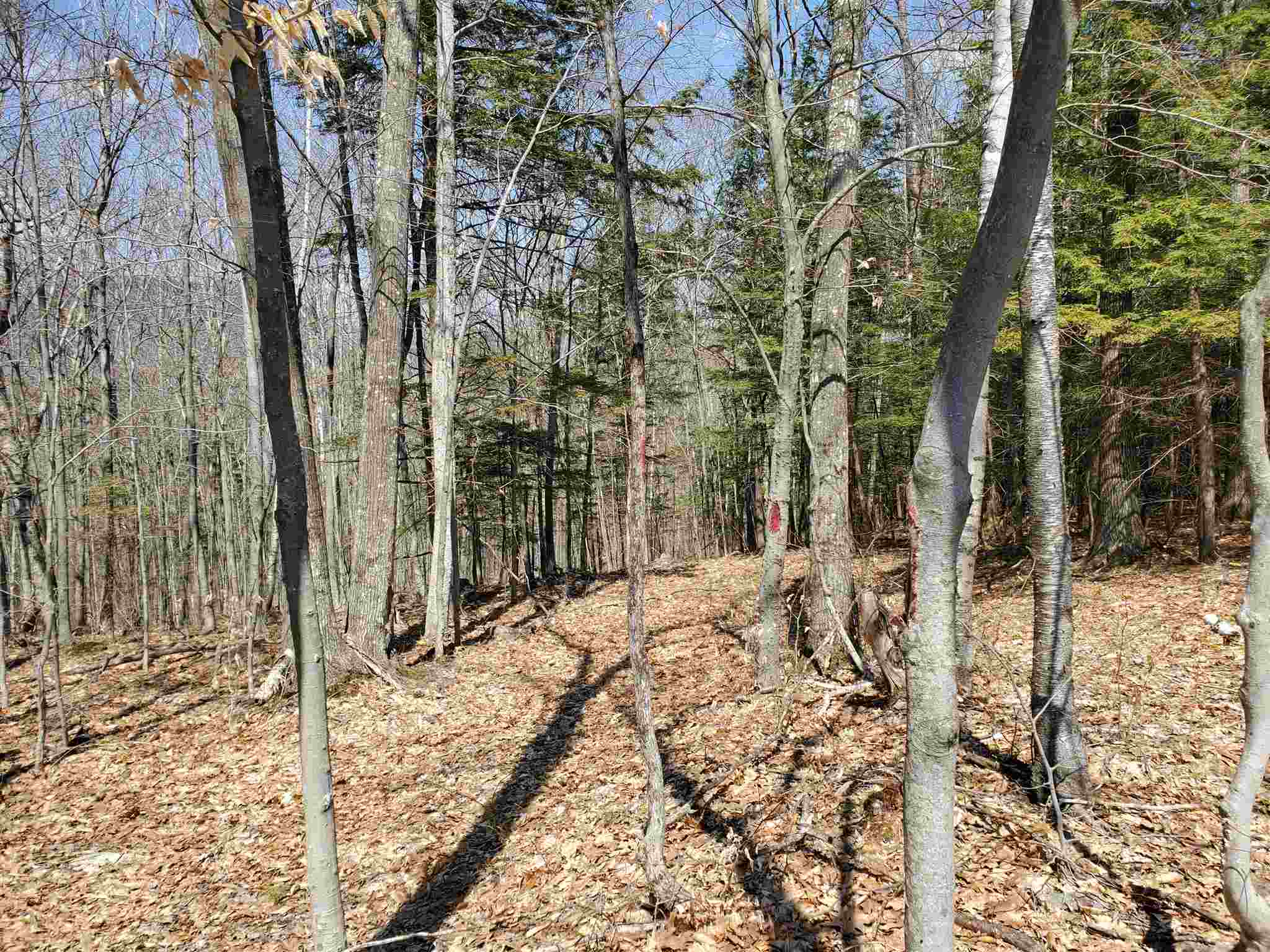 Lot 15 Buzzell Ridge Road, Unit 11 Sandwich, NH 03227 - Photo 8 of 21