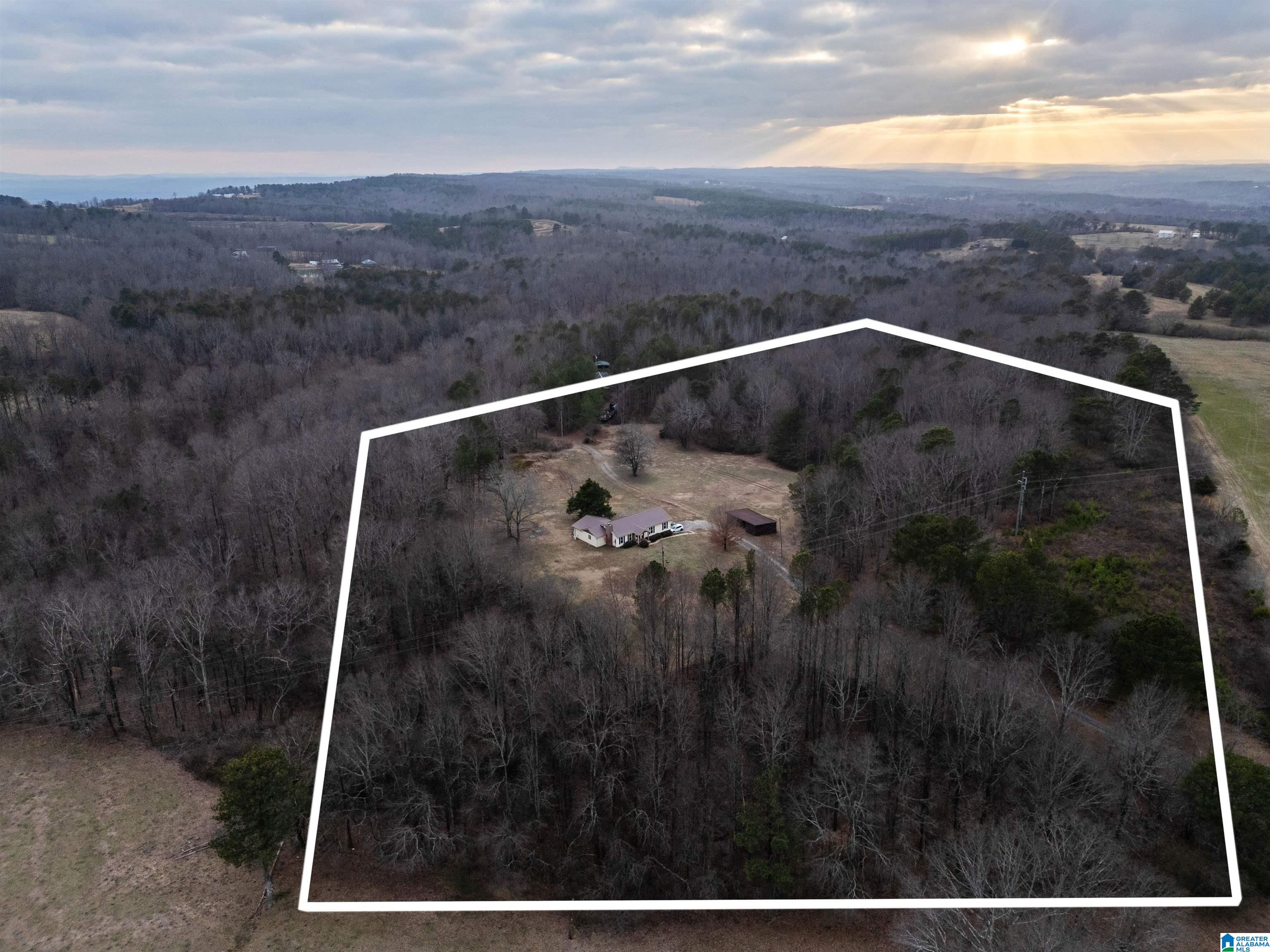 560 Phillips Drive Oneonta, AL 35121 - Photo 42 of 50